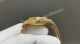 20260505 12 (3)_th.jpg